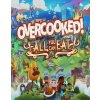 Overcooked! All You Can Eat