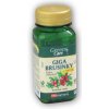 VitaHarmony Giga Brusinky 7.700mg 60 tablet