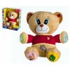 Teddies Medvěd Tedík česky mluvící plyš na baterie v krabici