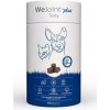 WePharm WEJOINT PLUS pre malé plemená a mačky 30 tbl