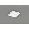 TRIO Reality R62931801 Camillus stropné svietidlo LED 1x18W 1650lm 3000K IP44