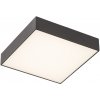 Sapho RISA stropné LED svietidlo 10W, 230V, 28x28cm, čierna SPH LS030C