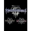 SQUARE ENIX Kingdom Hearts Integrum Masterpiece (PC) Steam Key 10000506231001