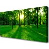 Obraz na plátne Les príroda 100x50 cm