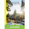 E-kniha Novodobí dobrodruzi - Jeffrey Bowman