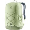 Deuter Gogo 25l mineral-grove