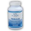 FitSport Nutrition Tribulus Terrestris 90% + Vitamín B6 + Zinok 100 kapsúl