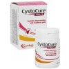 Cystocure Forte plv 30g