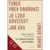 Vo vobecný češtině a jiné příběhy - Milan Hrdlička