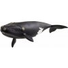 Schleich Wild Life Severoatlantická pravá veľryba