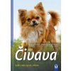 Čivava - Výběr, chov, výcvik, zábava - Holler Birgit, Schmidt-Röger Heike