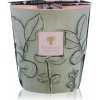 Baobab Collection Folia Maquis 16 cm