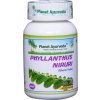 Planet Ayurveda Chanca Piedra Kapsuly - Obličky, Detox 5+1 ZDARMA