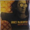 Childish things - James McMurtry LP