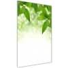 Vertikálny foto obraz akryl do obývačky Zelené lístie 50x100 cm