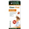 HÜBNER Eisen Vital F Železo 500 ml Zelená Lekáreň