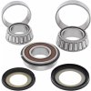 Ložiská + tesnenie riadenia sada SB22-1053