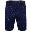 Kjus Men Iver Printed Shorts EU34 Panske Atlanta Blue-White