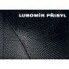 Lubomír Přibyl - Valoch Jiří