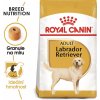 ROYAL CANIN BREED Labrador Adult 3kg