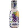 Arizona Blueberry White Tea 450 ml