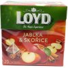 Loyd čaj Jablko a škorica 20 x 2,25 g