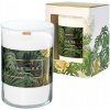 Artman Vonná sviečka Monstera Big Green - sklo 800g
