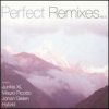Tiesto - Perfect Remixes [CD]