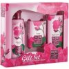 Rose of Bulgaria sprchový gel s růžovou vodou 100 ml + toaletní mýdlo s růží 50 g + pleťový denní krém s růžovou vodou 30 ml,