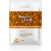TianDe Detoxikačná náplasť na nohy Master Herb 2 ks