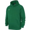 Nike Park 20 Fleece Pullover Hoodie Junior CW6896-302