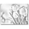 Vymalujsisam.sk Bodkovanie - Biele tulipány Farba: Červená, Veľkosť: 30x40cm, Rám: Na kartónovej doske