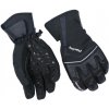 Lyžiarske rukavice Blizzard Racing Ski Gloves Black/Silver 9