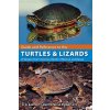 Guide and Reference to the Turtles and Lizards of Western North America (North of Mexico) and Hawaii
