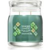 Yankee Candle Olive & Cypress vonná sviečka 368 g