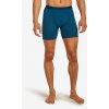 Icebreaker Boxerky mens Anatomica boxers