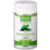 fin Balancegluko caps 60 kapsúl