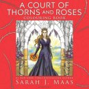 A Court of Thorns and Roses Colouring Book C... Sarah J. Maas