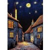 Art Středověká noc Chánů 500 dielov