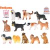 Zoolandia pejsek 5-9cm