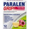 Paralen Grip horúci nápoj echinacea a šípky plo.por.500 mg/10 mg 12 x 500 mg/10 mg