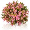 BiOrb Topiary Ball Pink 5 cm