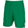 TOLEDO II SHORT GREEN XS