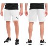 Puma teamRISE