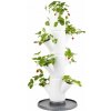 Gusta Garden GG-101569