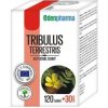 TRIBULUS TERRESTRIS EDENPharma 150tbl