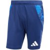 Adidas Tiro 24 Competition Training M IR5485 shorts (191812) Black XL