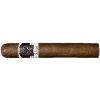 Asylum Schizo Robusto (20)