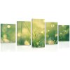 5-dielny obraz ranná rosa