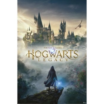 Donga Plagát - Hogwarts Legacy (Wizarding World Universe)